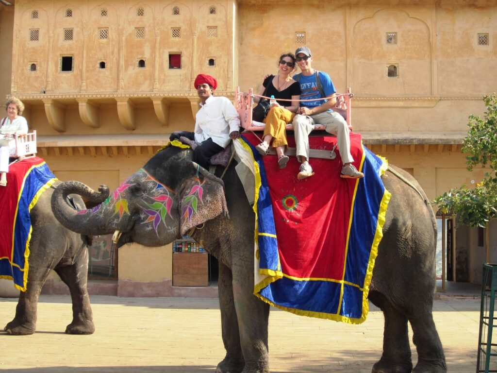 elephant-ride-in-amber